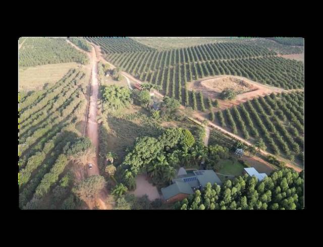 FARM FOR SALE IN LEVUBU